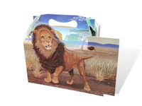 a lunch box with a picture of a lion